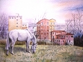 Cavallo bianco ai Mulini -Nalon